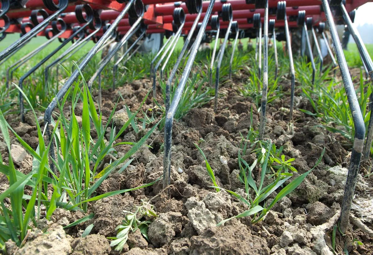 acda0dc20347ae896713e6050fefbb90614e7576 Der Förderverein JätRobi setzt sich für eine Unkrautbekämpfung ohne Herbizide ein. (Bild Agroscope)