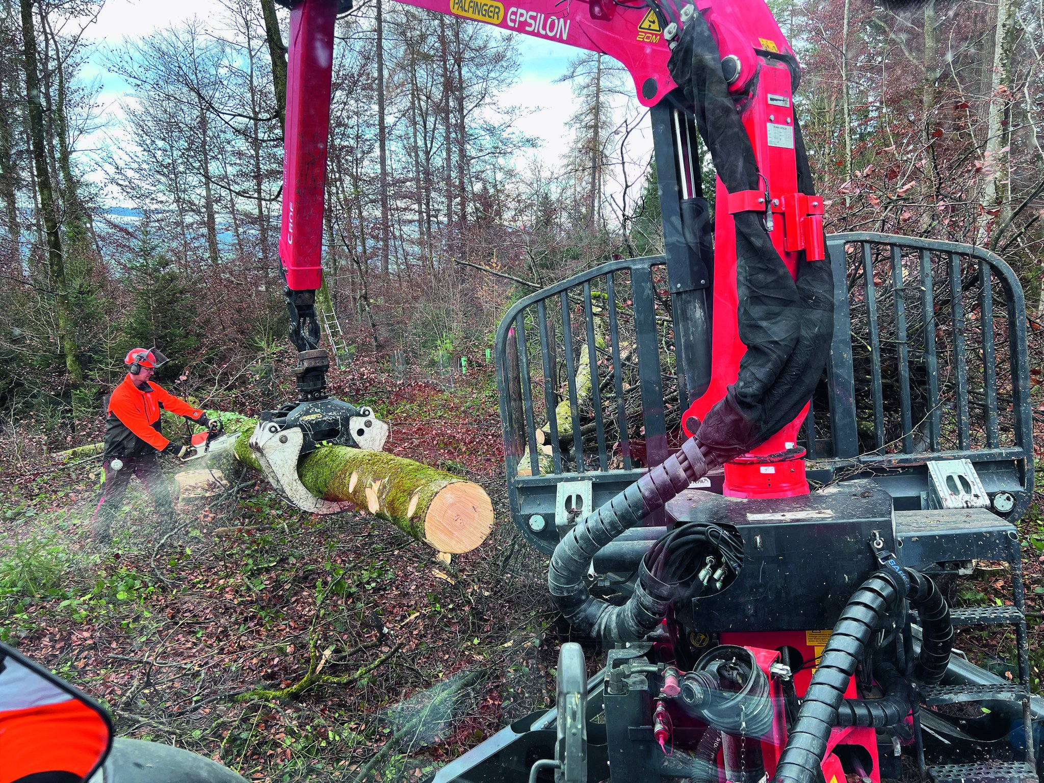 Tagebuch: Holz und Anlässe im Dezember 2021