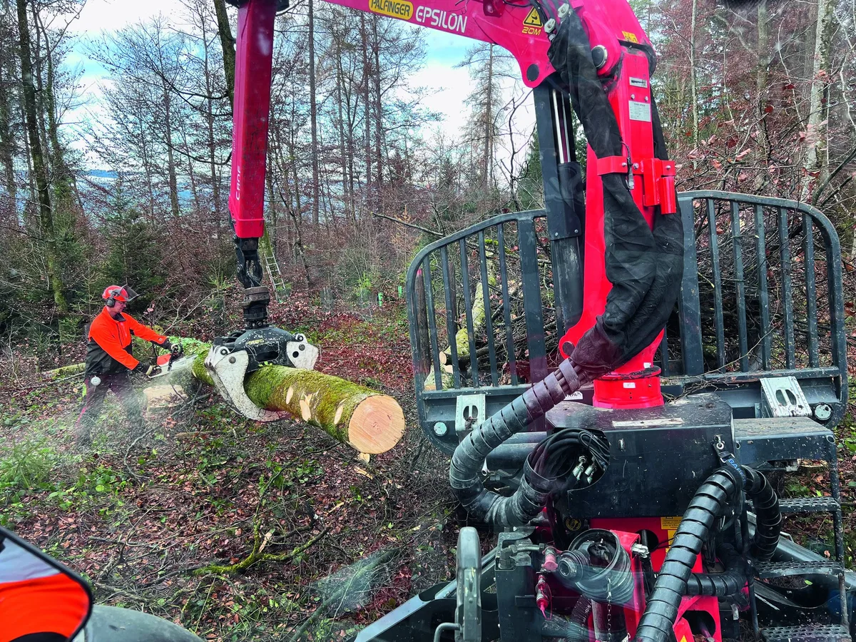 dg_22-01_mm2_holz Tagebuch: Holz und Anlässe im Dezember 2021