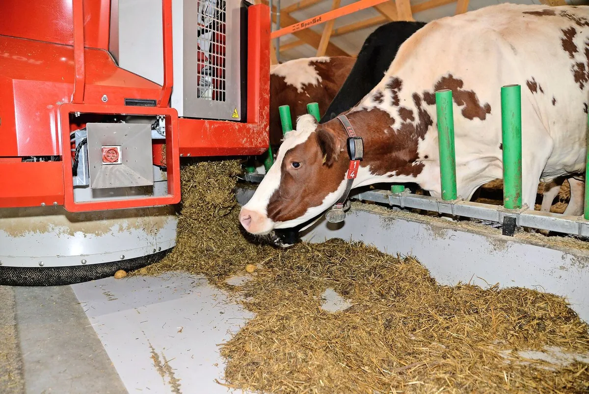 Melkroboter, Entmistungsroboter, Fütterungsroboter (Bild): Automatisierte Systeme sind in der landwirtschaftlichen Praxis schon längst verbreitet.