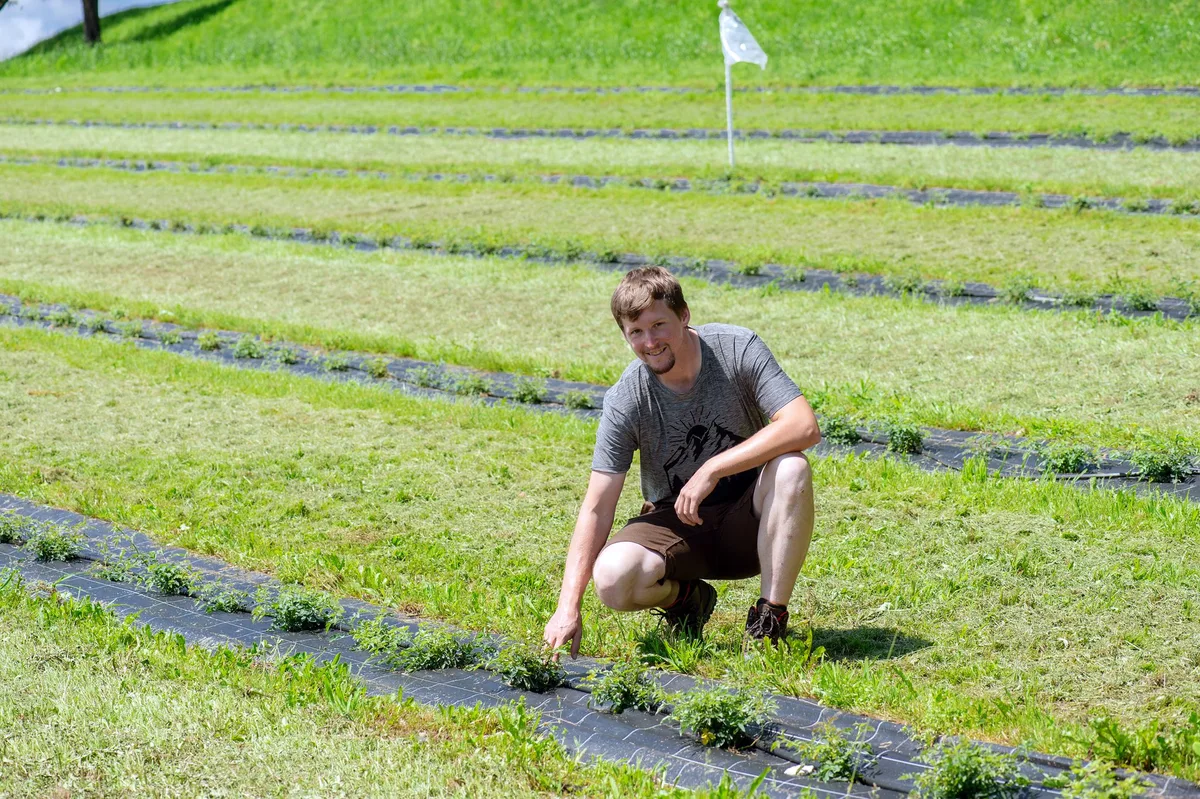 _AMM0928 Erste Schweizer Hagebuttenplantage