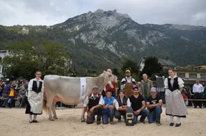 Miss Glarus Peggy-Sue (Phil) von Philipp Zweifel aus Linthal.