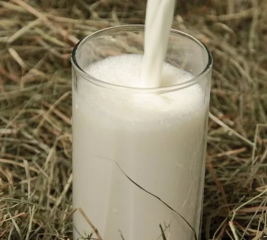 678b4f91cdebd67109734e546c3aaf331eb9c283 Biomilchproduktion könnte ab diesem Monat attraktiver werden. (Fotolia)