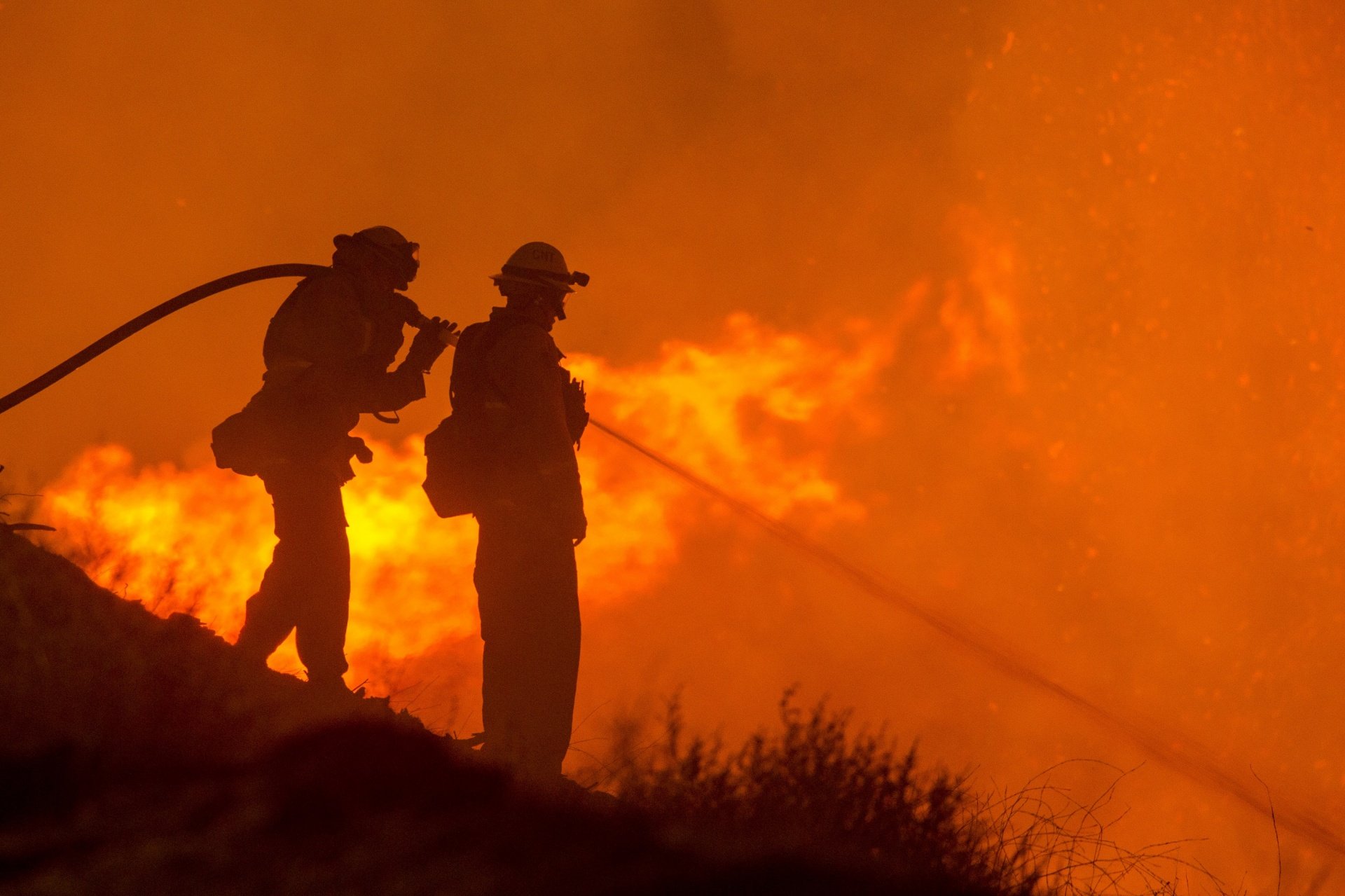 Für das Feuer günstige Wetterbedingungen machen den Feuerwehrmännern das Leben schwer. (Symbolbild  Jean Beaufort / Publicdomainpictures)