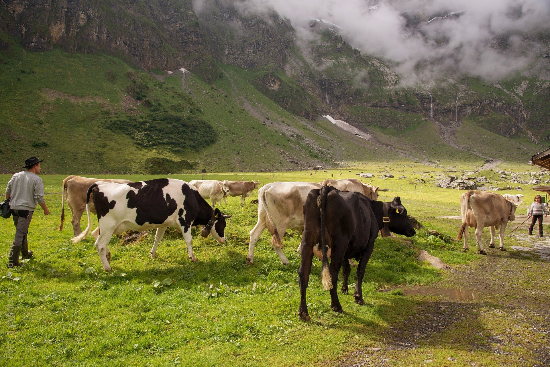 Es gibt jetzt einen Plan für den Wandel des Ernährungssystems – Das kommt auf Sie zu