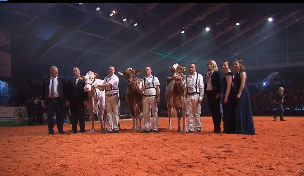 4fa4c0e2837e9b3d064d4f685d7426aa51a61aed Die Grande Champion Pastique, die Reserve Armani Brook und die Mention Lotus Barbalala (v. l. n. r.).