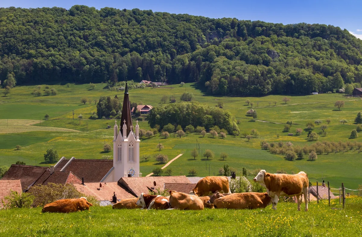 «Um die Stickstoff-Problematik zu entschärfen, muss die Landwirtschaft extensiver werden»