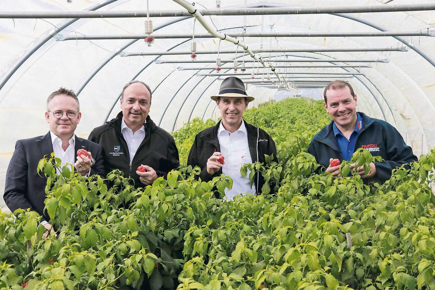 Beim Aargauer Gemüseproduzent Jörg Friedli wachsen scharfe Chilis auf dem Feld