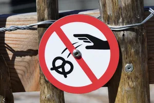 Wegen Kaufanreizen und hoher Qualitätsansprüche hat auch der Handel eine zentrale Rolle beim Thema Food Waste. (Bild Pixabay)
