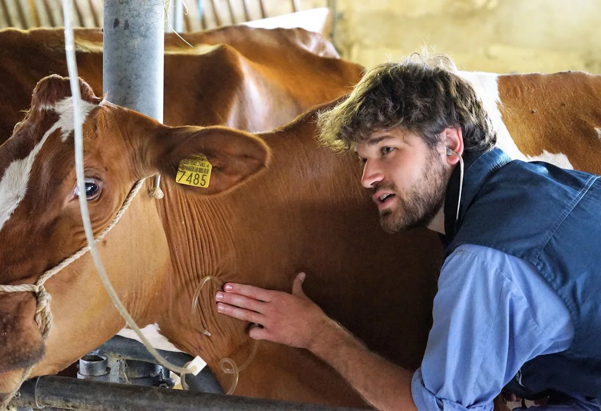 282f428e9b91fa9fa8477bacf119123e8a16dd02 Tierärzte setzen alles daran, um die Ausbreitung der Resistenz gegen Antibiotika zu verhindern. (Bild lid)