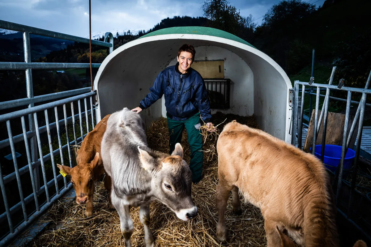 0959e58abccaedef00f3e7da8b0e6aece72b9056 Landfrauenküche 2019 - Flurina Candinas Foto-Shooting mit Kälber (Bild: SRF/Ueli Christoffel)