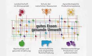Mit dem obersten Ziel, gutes Essen und eine gesunde Umwelt sicherzustellen, nimmt sich Agroscope in den kommenden Jahren sechs Schwerpunktthemen an.