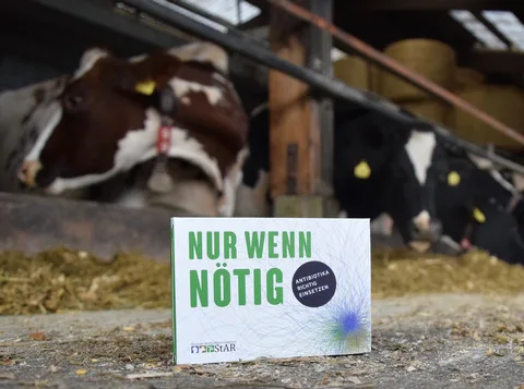 5ec1d09a167315963a55c954d82826217193b4d3 Die Wirksamkeit von Antibiotika für Mensch und Tier erhalten und Resistenzen vermindern: Das sind die beiden wichtigsten Ziele der nationalen Strategie Antibiotikaresistenzen StAR. (Bild BauZ)