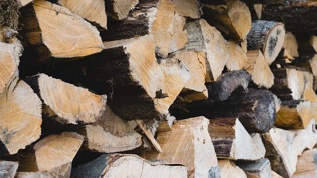 69db666d0e85e07e1316879ab02398952c7daad7 Der Förster, der illegal Holz verkauft haben soll, wurde vorübergehend von seiner Tätigkeit freigestellt. (Symbolbild Pixabay)