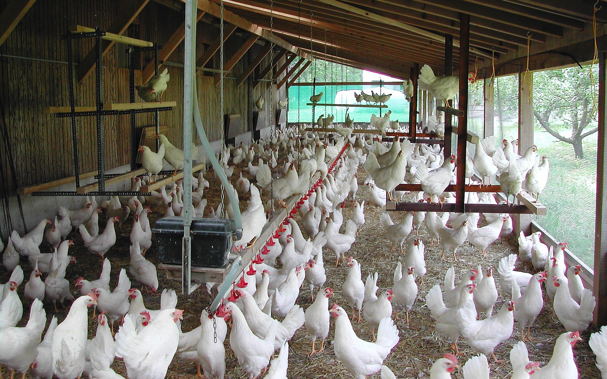 «Der Bund zieht sich aus der Förderung des Tierschutzes zurück»