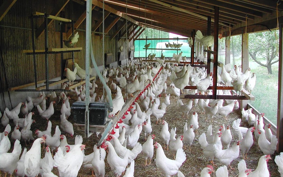 «Der Bund zieht sich aus der Förderung des Tierschutzes zurück»