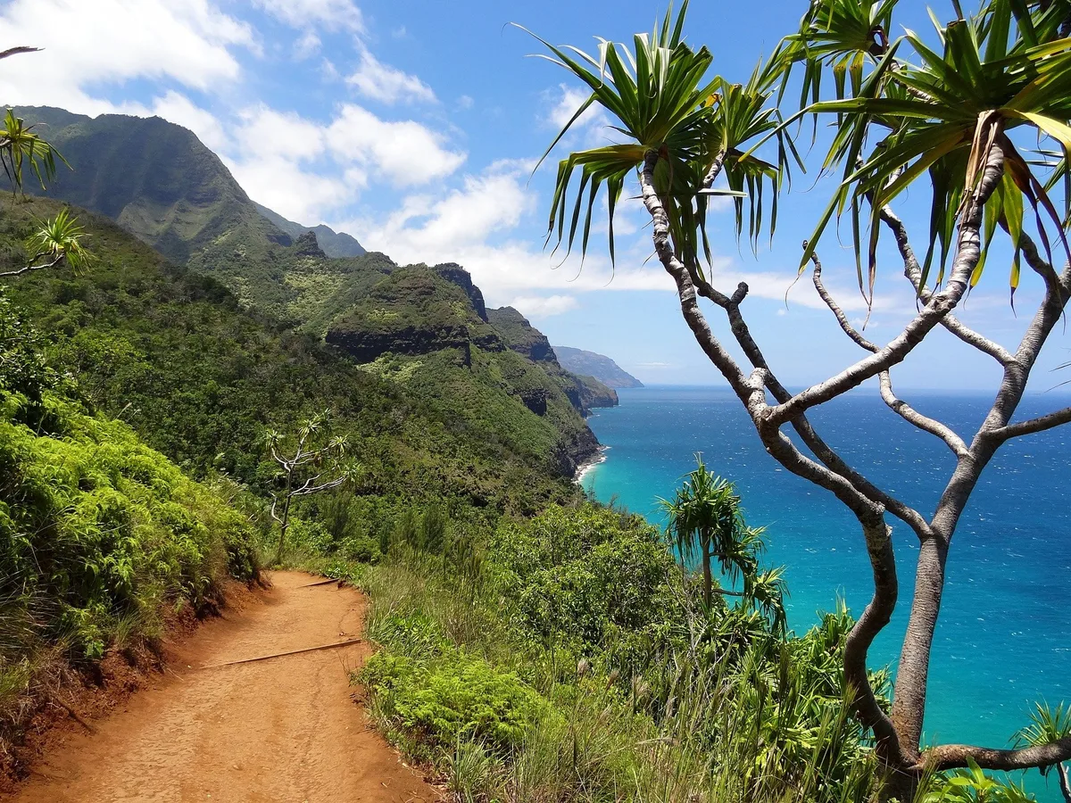 napali-coast-91676_1920 Mark Zuckerberg züchtet Rinder auf Hawaii und löst Empörung aus