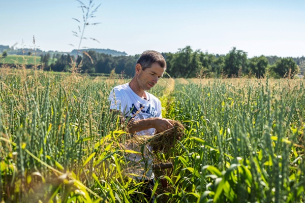Bio Familia sucht regenerative Getreide-Produzenten