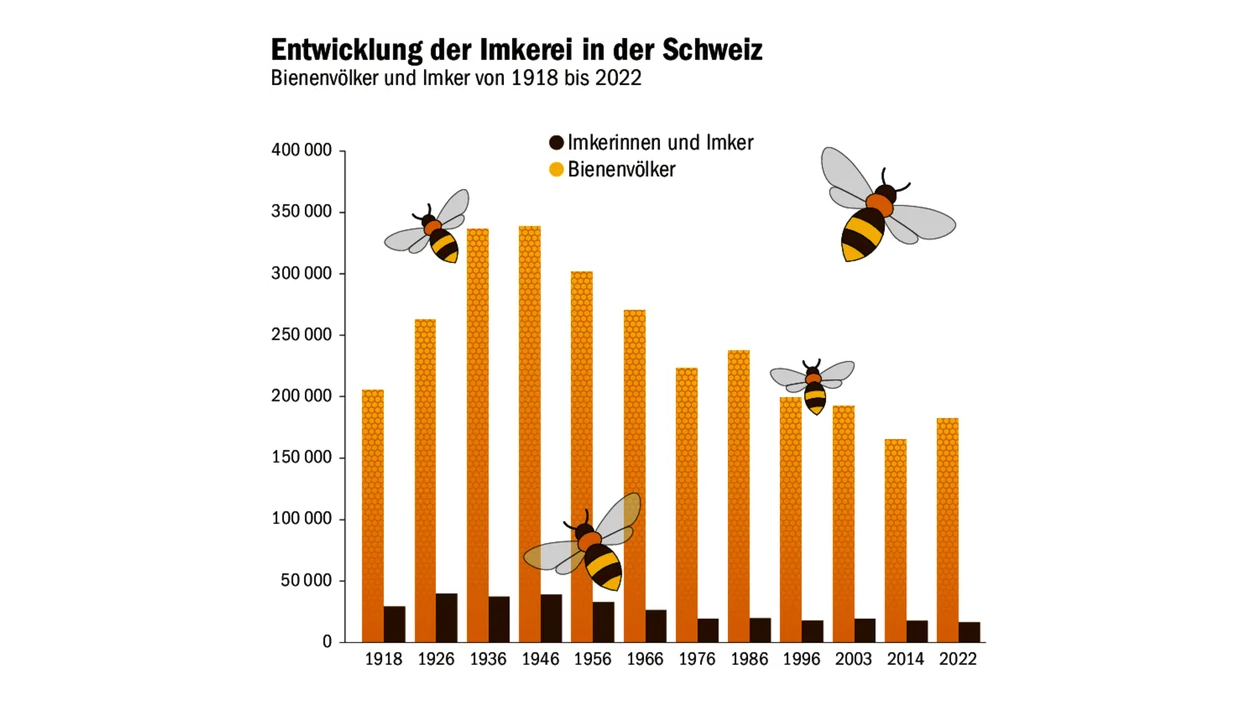 Bei der Anzahl Bienenvölker gab es eine Trendwende