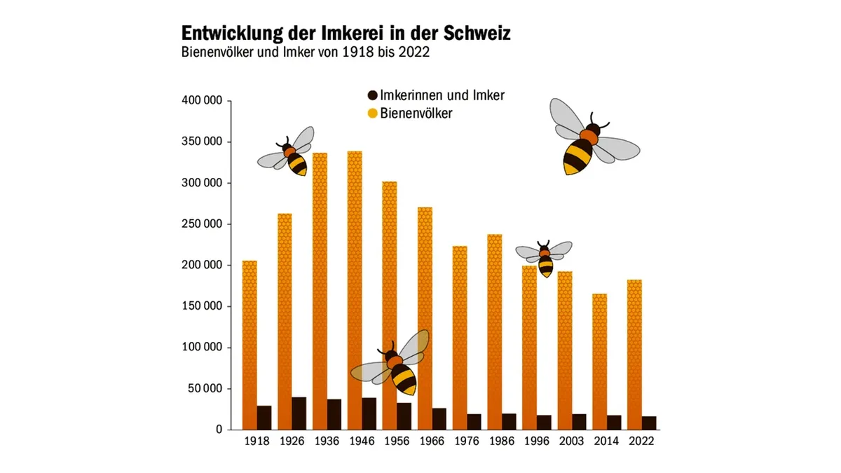 imkerei Bei der Anzahl Bienenvölker gab es eine Trendwende