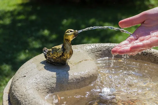 5a18f4319df677b73530fa769fb3c2c1c6fdd29e Schweizer Trinkwasser gilt als unbedenklich. Mit der Diskussion um Chlorothalonil, bzw. dessen Abbauprodukte kamen daran Zweifel auf. (Symbolbild Pixabay)
