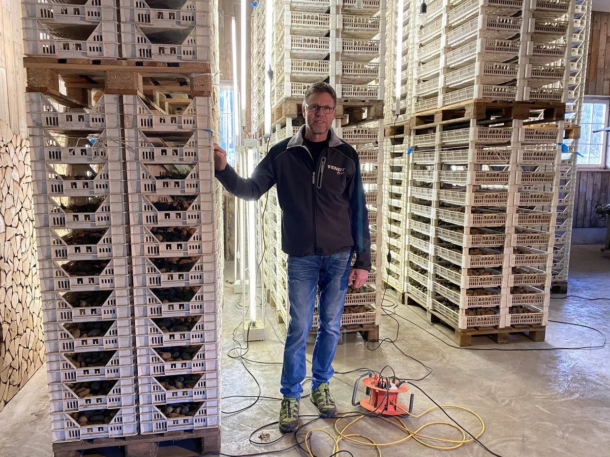 518ddc5f3c5b414d7f97f10aca65f4b9a2dbb0b3 Im Vorkeimraum von Kartoffelbauer Daniel Erb keimen die Frühkartoffeln bei 8 bis 12°C, 85% Luftfeuchtigkeit und einer Dauerbelichtung. (Bilder Katrin Erfurt)