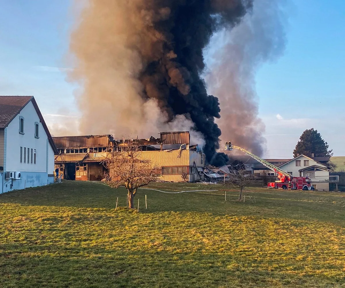Ein Feuer in einem Freiburger Käselager zerstört 11'000 Käselaibe