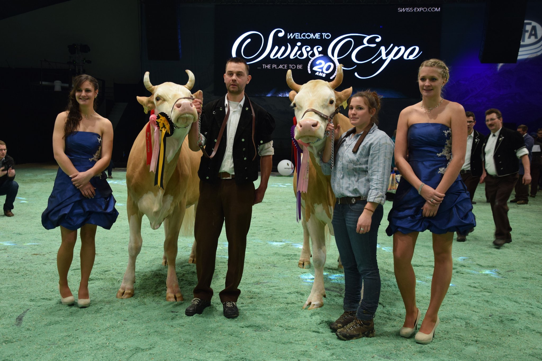 Die Grand-Champion der Simmentaler heisst Alarm Venus von Elvira Perreten aus Lauenen BE (rechts) und die Schöneutersiegerin Sepp Eliana von Jonathan und Stephan Perreten aus Lauenen BE (links). (Bilder pf)