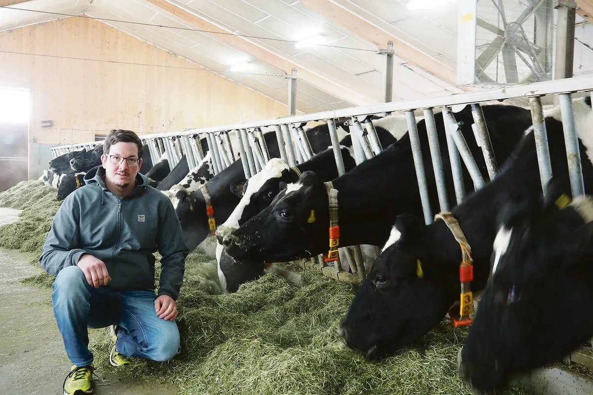 042ff326e0710fdb2ecac9f83ab29da0f1e48afa Reto Büssers Zuchtziel ist eine Herde, die möglichst viel Milch aus dem Grundfutter produziert.(Bild Christian Weber)