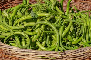 Neben Proteinen enthalten grüne Bohnen auch Vitamine und Nahrungsfasern. (Bild lid)