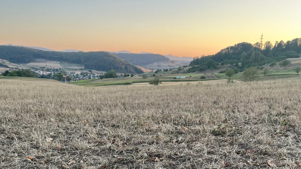 IMG_2022.jpeg Die Folgen der Trockenheit zwingen die Regierung zum Handeln: Felder oberhalb Ormalingen im Oberbaselbiet.