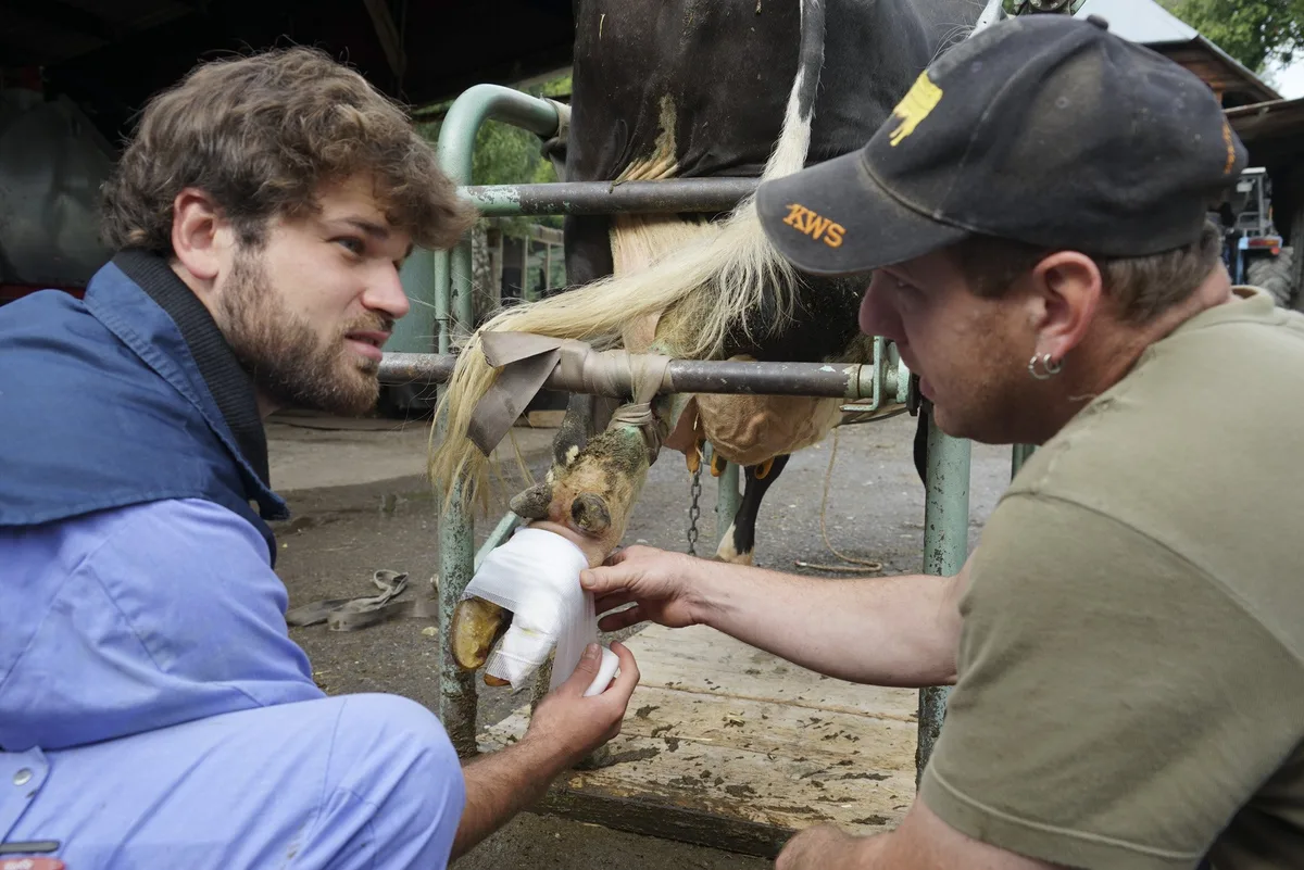 tiergesundheit_mr Die Tiergesundheit erhalten, anstatt Krankheiten therapieren