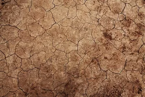 Der Klimawandel führe dazu, dass Konfliktparteien sich zusätzlich um schwindende Ressourcen stritten. (Symbolbild Pixabay)