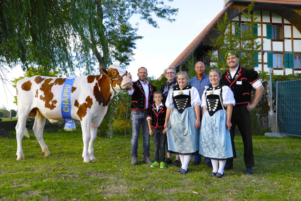 Munitaufe_9194-scaled Das ist der Siegermuni fürs Mittelländische Schwingfest: Er heisst Chäppu