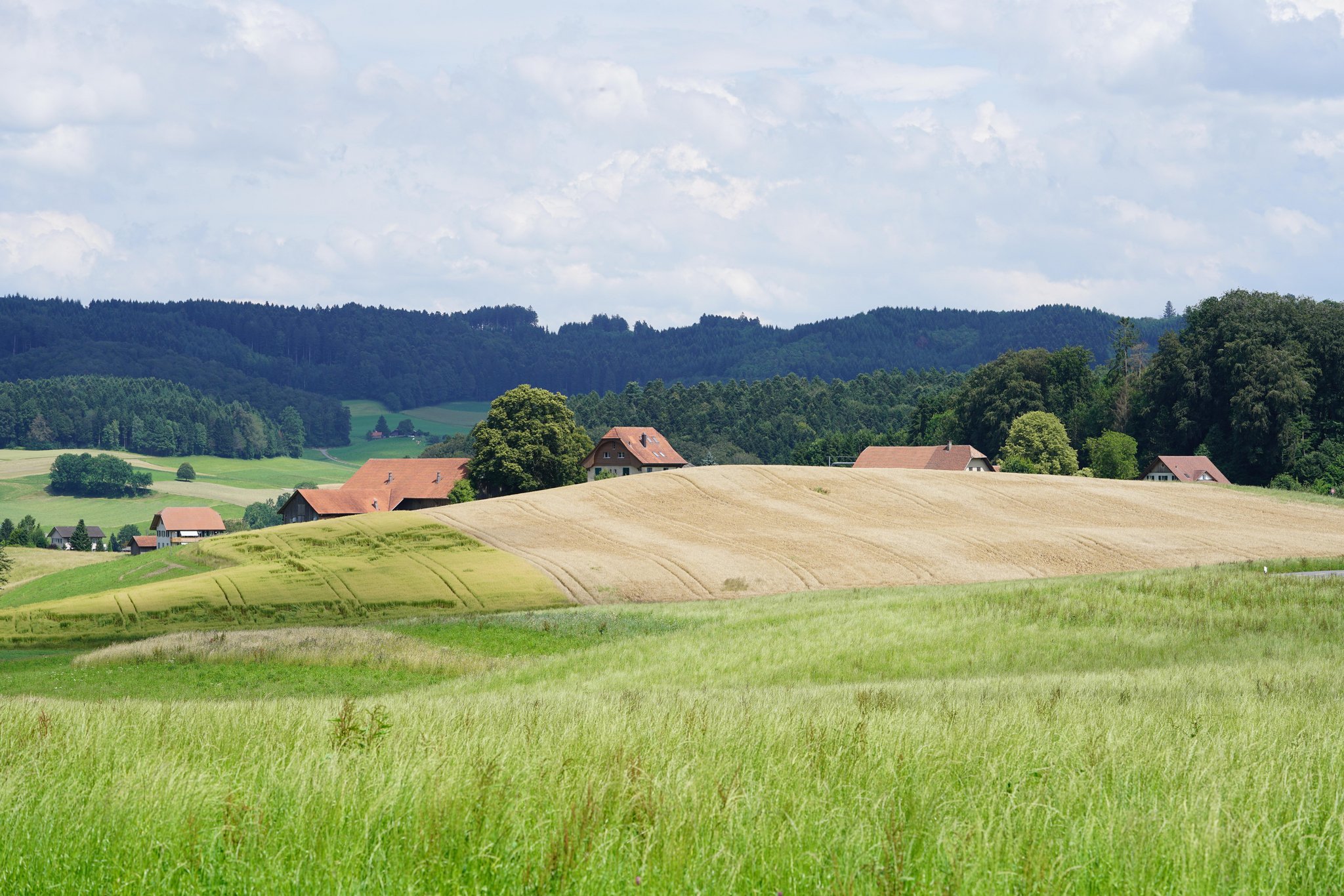 Unterschriften gesucht für eine Petition gegen das Hofsterben