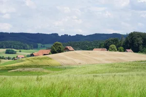In den nächsten 15 Jahren erreicht die Hälfte der heutigen Betriebsleitenden das Pensionsalter. Die VKMB befürchtet in der Folge eine Beschleunigung des Strukturwandels.