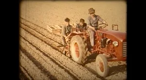 Kartoffeln setzen leicht gemacht: Im Gegensatz zu Handarbeit erleichtert der Traktor hier einiges.