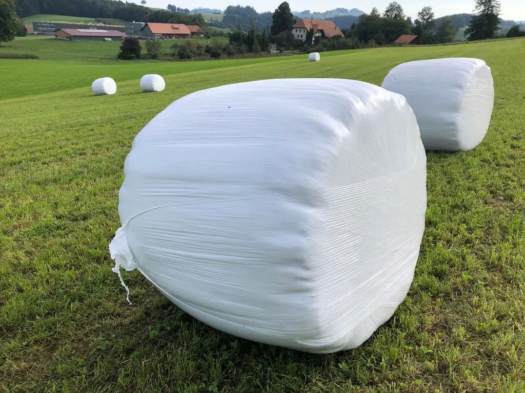 51978318- Ballen, im Schlauch, flach oder hoch
