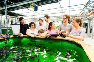 Forschende und Studierende an der Arbeit in den Fischzuchtanlagen im Campus Grüental. (Bild ZHAW)