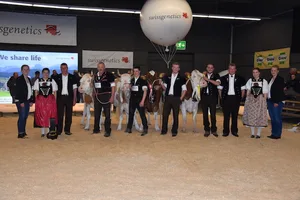 Die Senior-Missen und Senior-Schöneuter der Simmental und Swiss Fleckvieh.