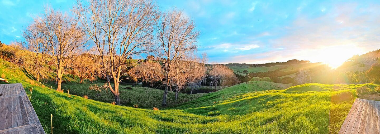 In Neuseeland geht ein langer Sommer in den Herbst über. Die Nächte sind merklich länger geworden, doch am Morgen geht die Sonne genauso schön auf.