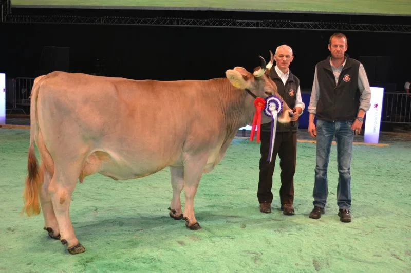 2359f78d8b49eaa487ef01e195308d270649af67 Grand Champion: Vaelaedi Karla, Gebrüder Winterberger, Schattenhalb