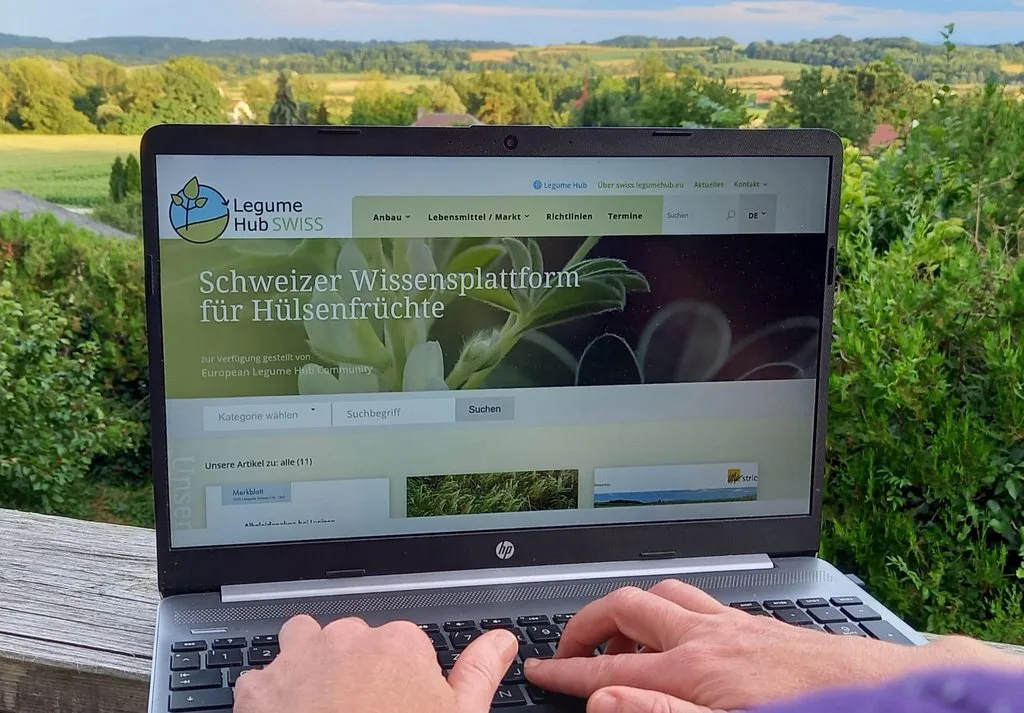 Viel Wissen zum Anbau von Leguminosen online im «Legume Hub Swiss»