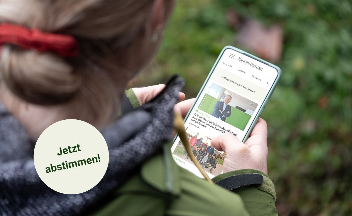 Frau fotografiert von hinten schaut auf ihr Mobiltelefon, Bildschirm voll ersichtlich