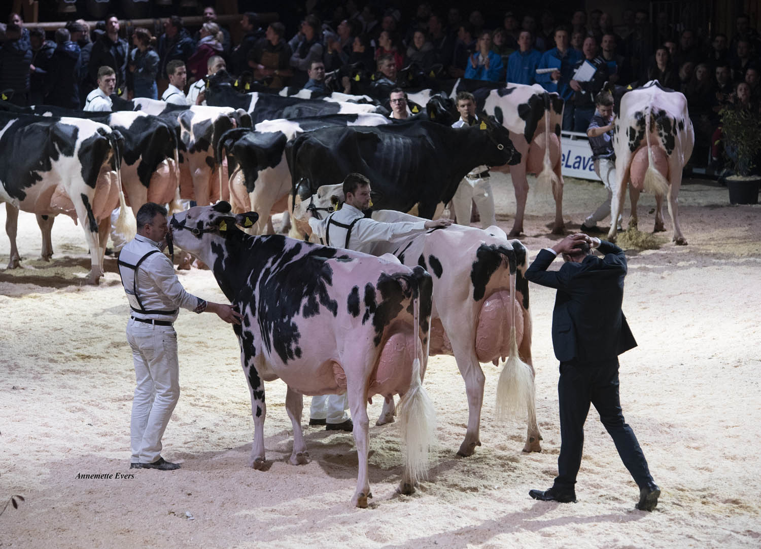 Die Expo Bulle fand zum letzten Mal im Jahr 2019 statt. (Bild Expo Bulle)