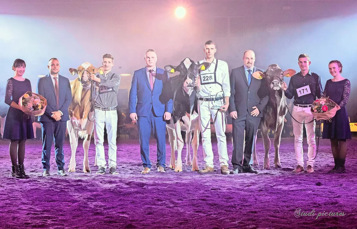 Die drei Rassen-Siegertiere: Dina von Florian Portmann aus Escholzmatt, Roxane von Maxime Waeber, Billens, und Vegas von Laurin Schmid aus Schüpfheim (v. l.).