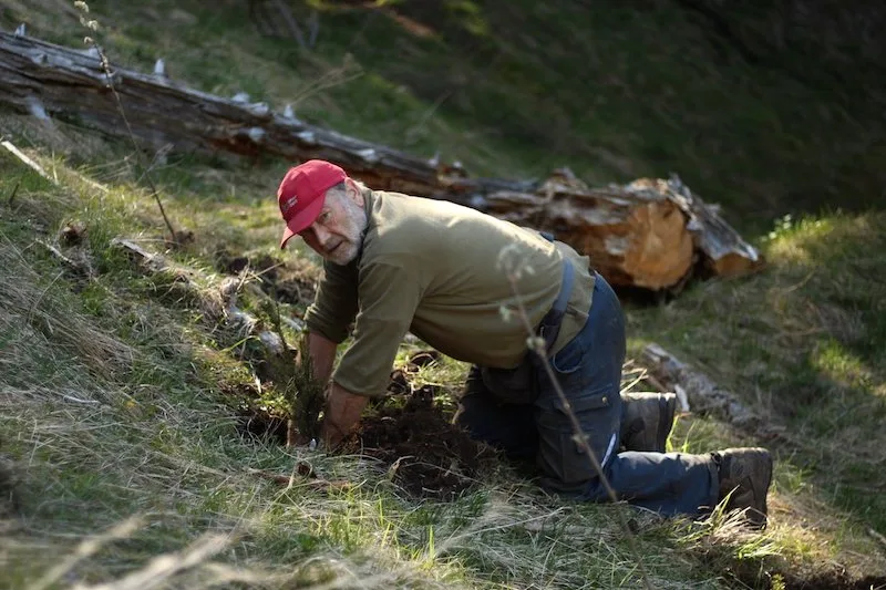 c57c8c2924419fb495f9e69617d2af29db93f701 Rund 2400 Helfer arbeiten jährlich an 100 Projektwochen an 36 Orten in der Schweiz daran, den Wald zu stärken. (Bild zVg)