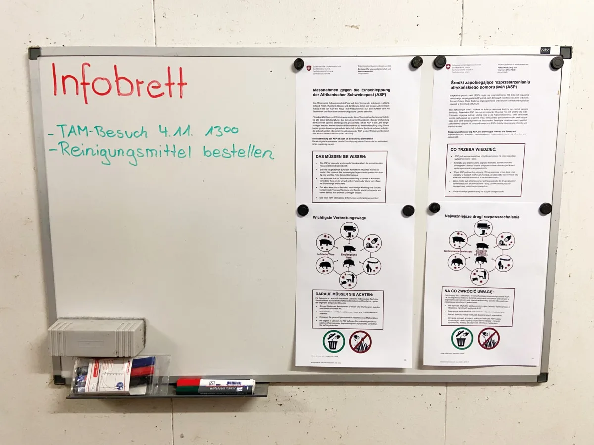 fb5b0092b6251777585c30a212cd86beb33dba75 Ein Infobrett ist eine einfache Möglichkeit, um Mitarbeiter über die aktuellen Vorkommnisse rund um die ASP zu informieren. Bild: Philipp Egli