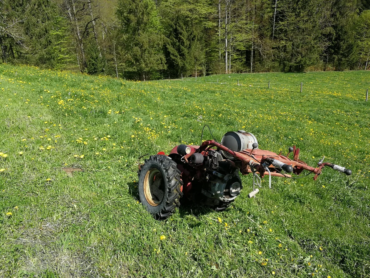 2018-04-24_15.44.34 Wie ist Ihre Futterqualität ausgefallen?