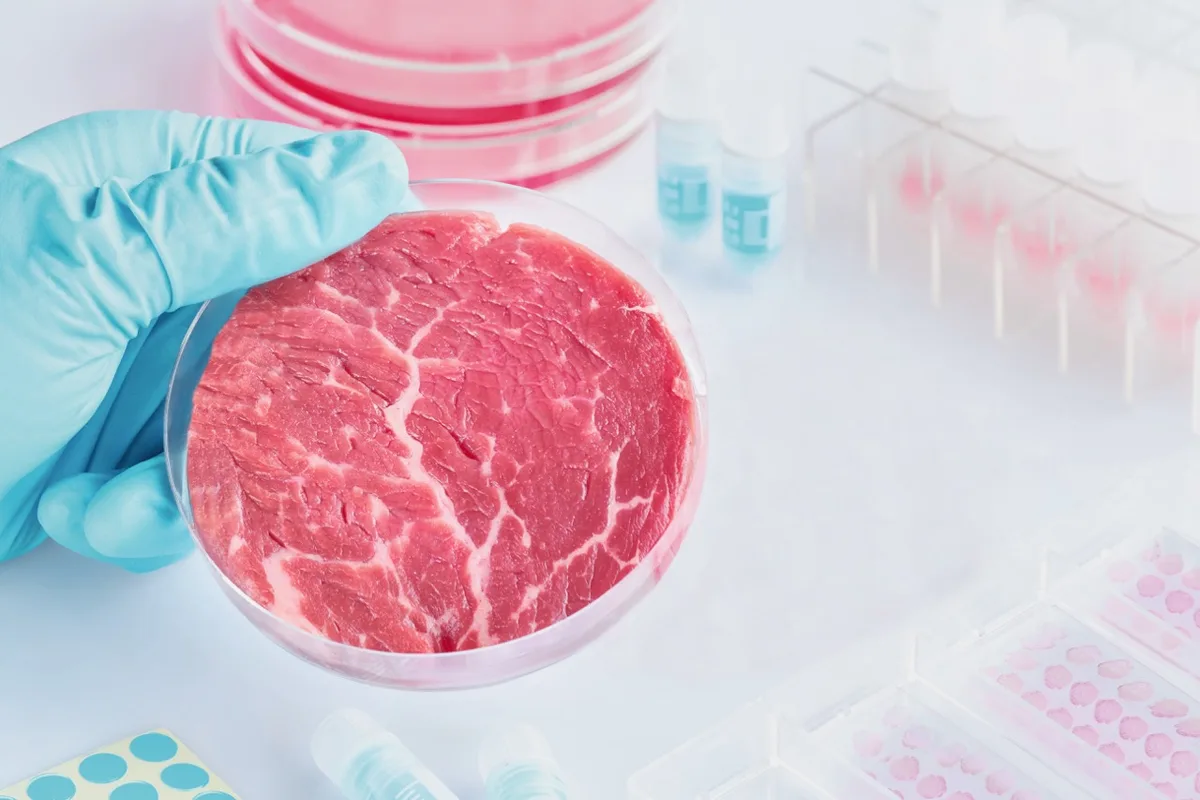 138a5f54432e2e493aa0241ef9716ea99a0376c7 Aktuell ist noch kein Fleisch aus dem Labor auf dem Markt. Bild: Adobe Stock